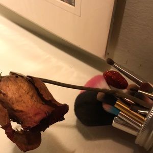 Meet your Posher, Leonel